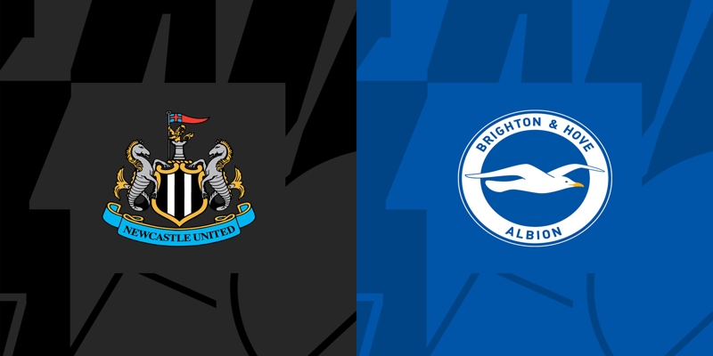 Soi kèo Newcastle United với Brighton & Hove Albion